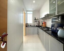 The Champagne (D14), Apartment #480067561